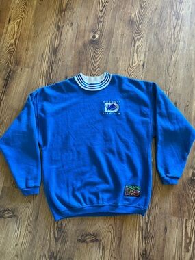 Vintage Jostens Sportswear NFL Detroit Lions  Sweatshirt  Embroidered logo USA